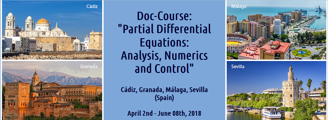 Partial Differential Equations: Analysis Numerics and Control
