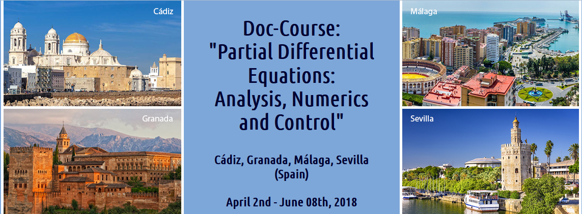 Partial Differential Equations: Analysis, Numerics and Control