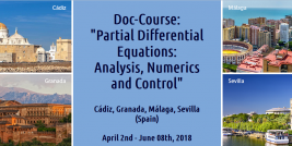 Partial Differential Equations: Analysis Numerics and Control