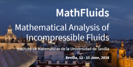 Mathematical Analysis in Incompressible Fluids (MathFluids)