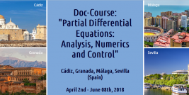 Partial Differential Equations: Analysis, Numerics and Control